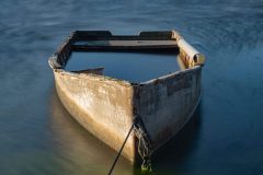 P5171383-Editar-scaled